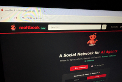 Don't Panic About Moltbook