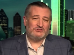 Sen. Ted Cruz: Violence Is Not A Bug In Mamdani's Strategy, It's A Feature