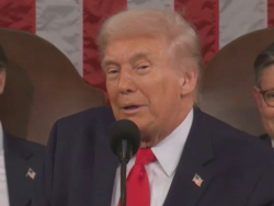 Trump: Did Nancy Pelosi Stand Up For Ending Congressional Insider Trading? I'm Impressed