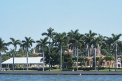 Cancel Culture Comes to Palm Beach