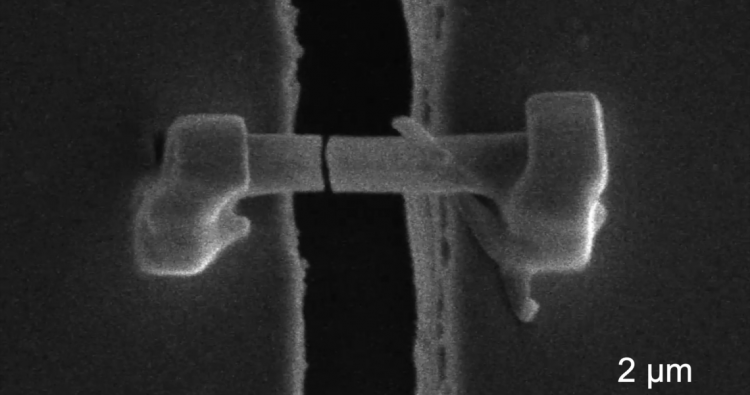 For First Time, Scientists See 'Thorns' Forming in Lithium Batteries