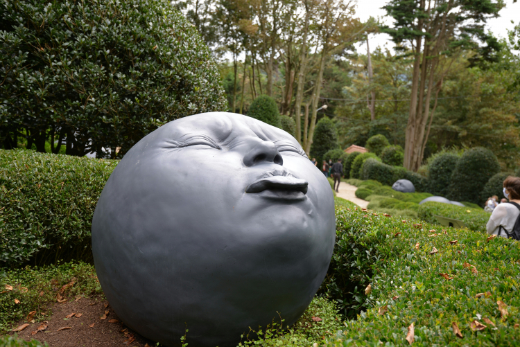 Smartphone App Can Help Men Last Longer in Bed