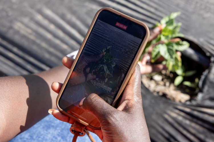 All the Ways We Can Upgrade Our Crops