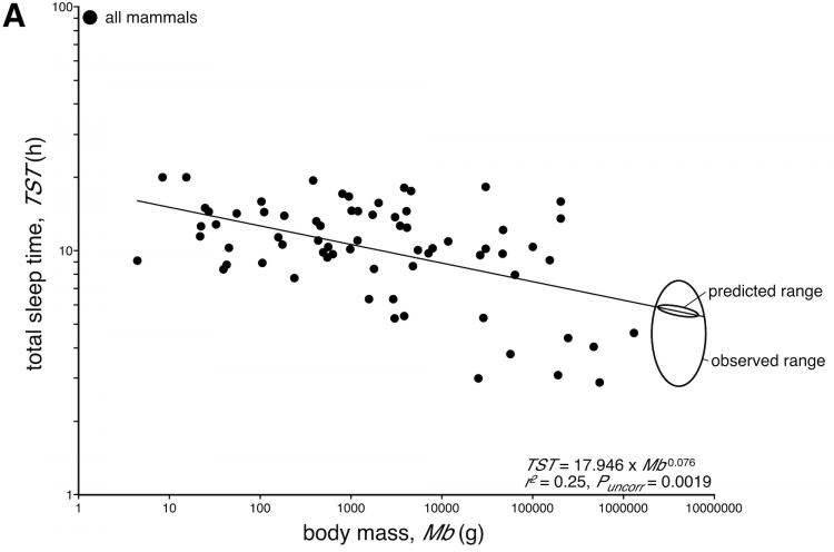 Gravett et al. / PLoS ONE