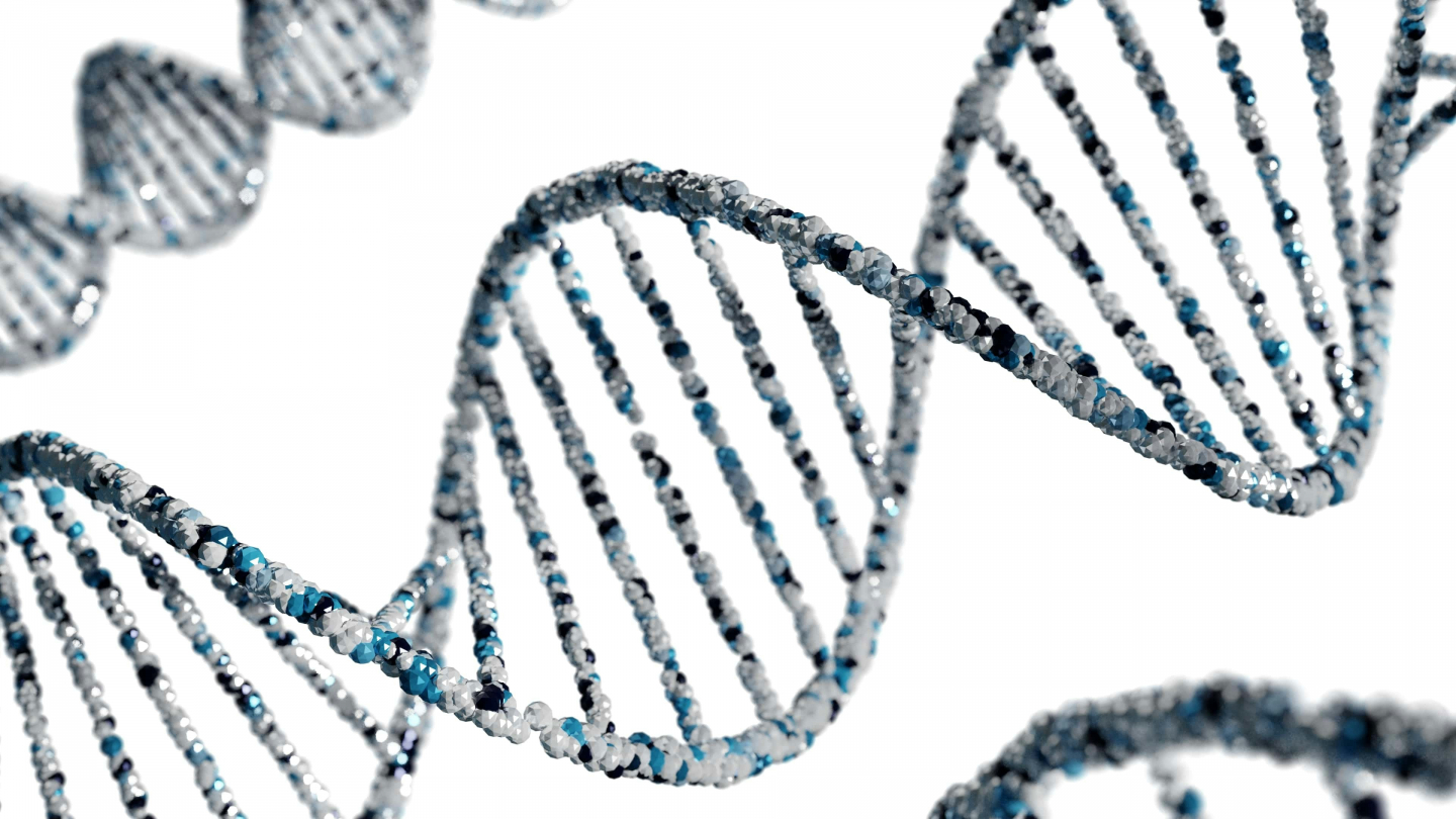 Age-Related 'Unraveling' of DNA May Be Reversible | RealClearScience