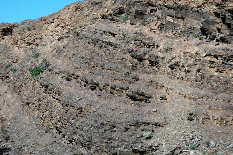 Diverse, Complex Life Arrived Before the Cambrian Explosion