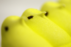 The Sticky, Sugary History of Peeps