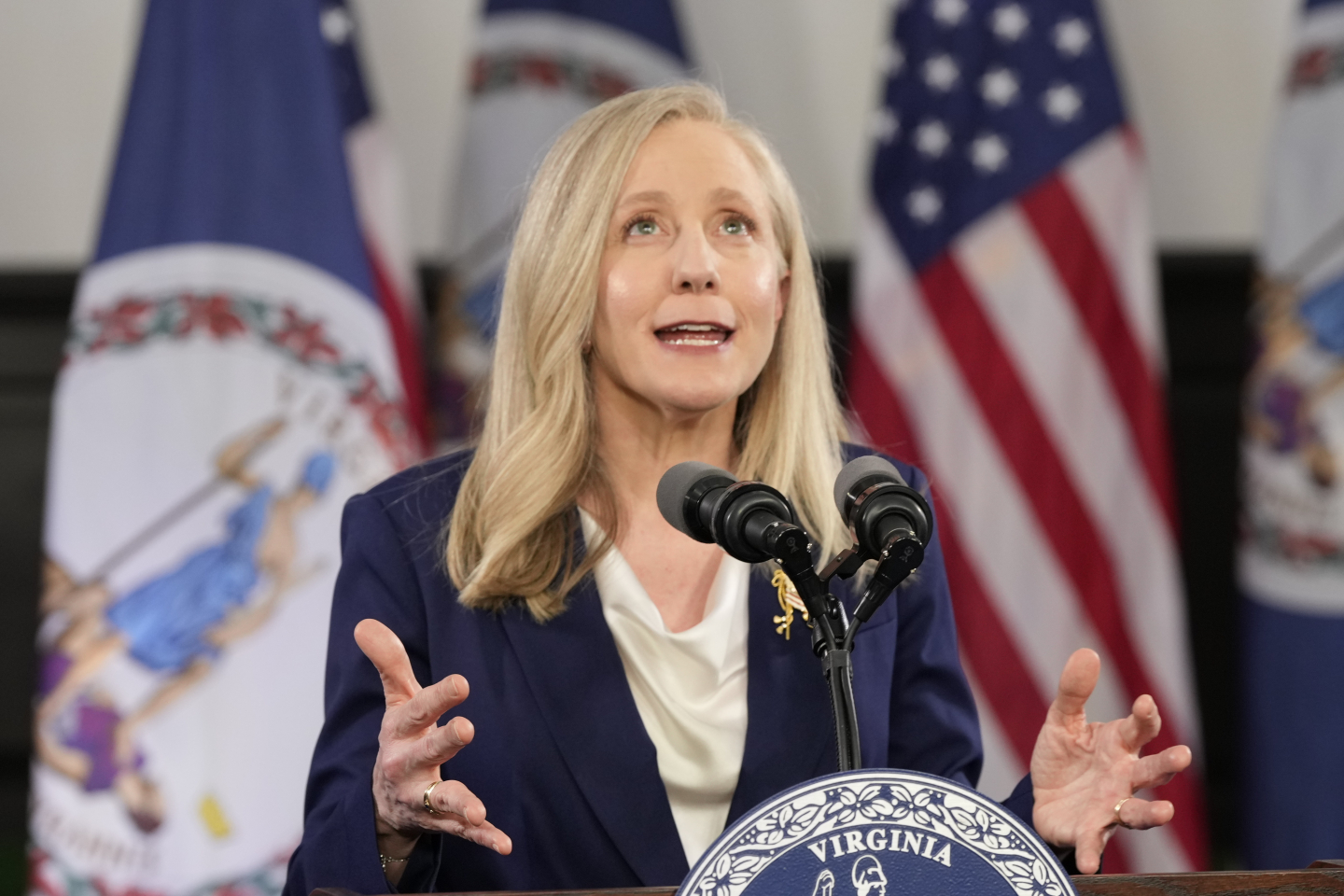 Virginia Rylander Virginia: A New Extreme in Gerrymandering | RealClearPolicy