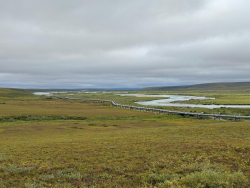 Frozen Fuel: Alaska Eyes Another Epic Pipeline