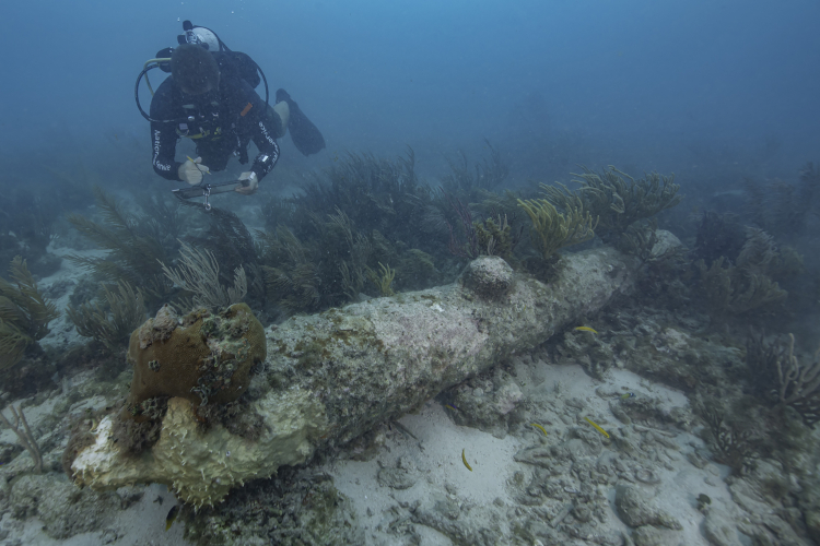 Archaeologists Solve Mystery of Abandoned Warship