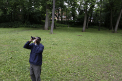 Bird-Watching: A Great Way to Keep the Brain Young