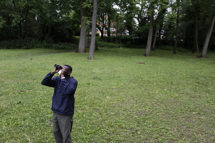 Bird-Watching: A Great Way to Keep the Brain Young