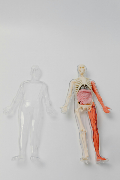 Scientists Use Ultrasound to Create Light Inside the Body