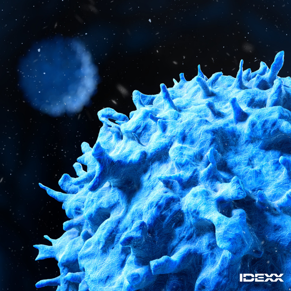 A New Wave of Immunotherapy Is Eliminating Cancers