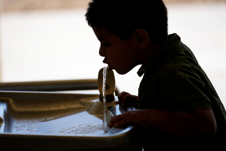 Strong Study Shows No Effect of Water Fluoridation on IQ
