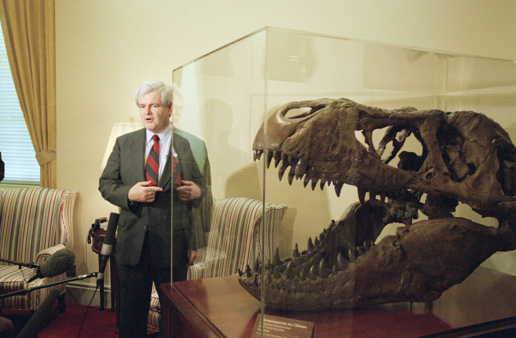 The Top Five Discoveries From the Hell Creek Formation