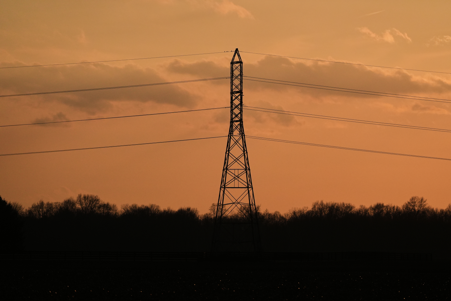 Demanding Accountability: Net Zero Alarmists Must Walk the Talk