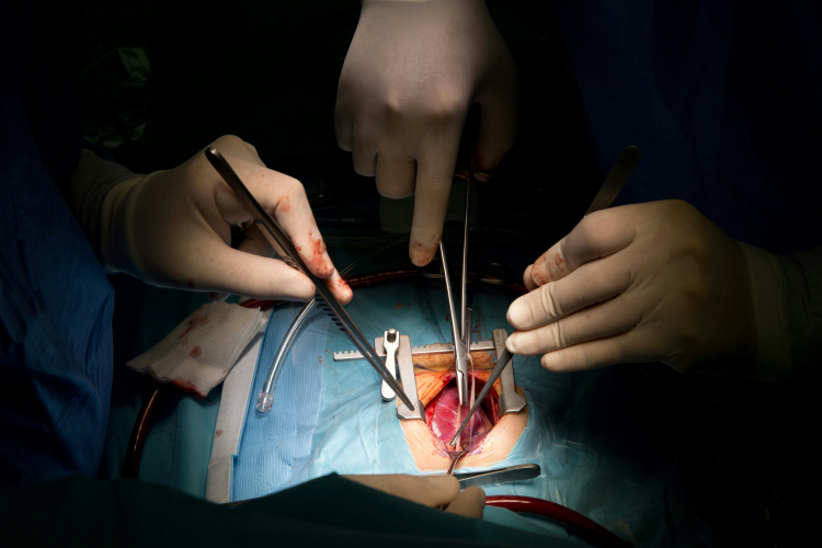 Scientists Grow Healthy Liver Tissue Inside the Body