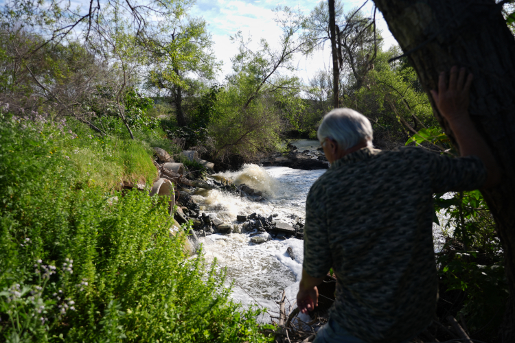 How Cocaine Pollution Messes With Salmon