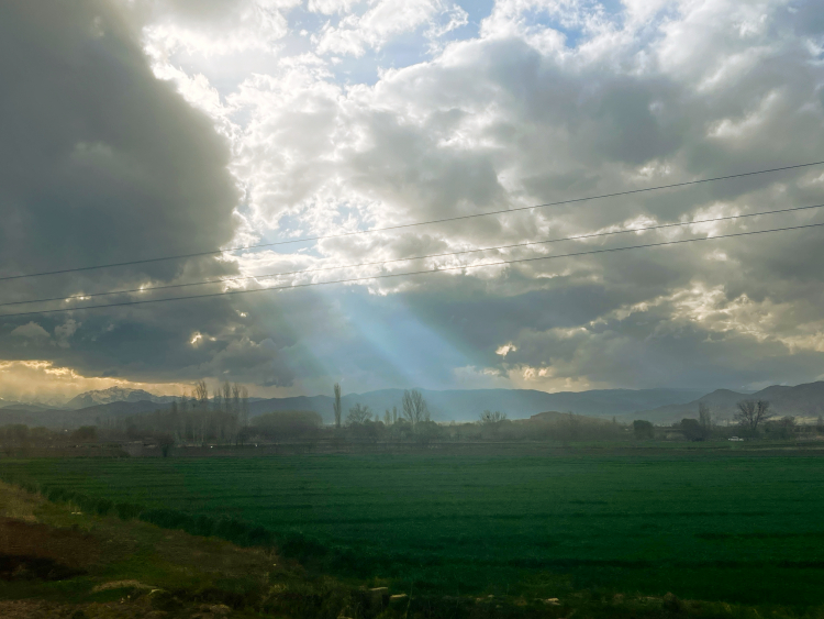 The Quest to Turn Sunlight Directly Into Food