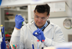 Getting Back to Basics on Researching Alzheimer's