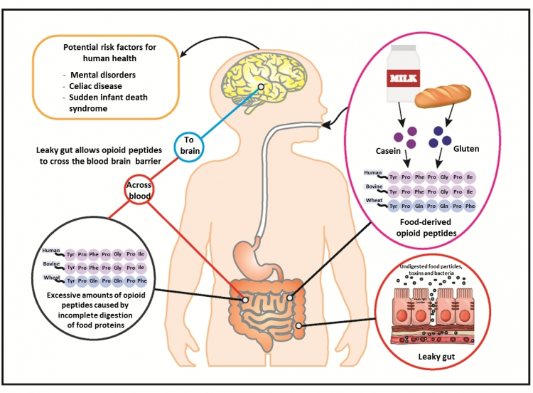 Doctors Are Worried About Peptides