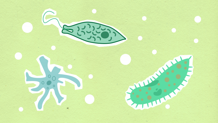How to Prevent Your Microbiome From Betraying You