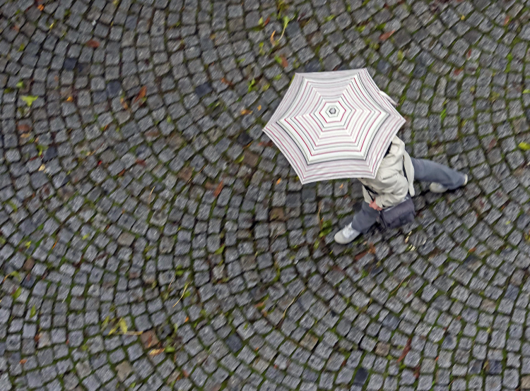 Why Rainfall Remains Hard to Predict