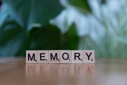 Why Forgetting Is So Important to Remembering