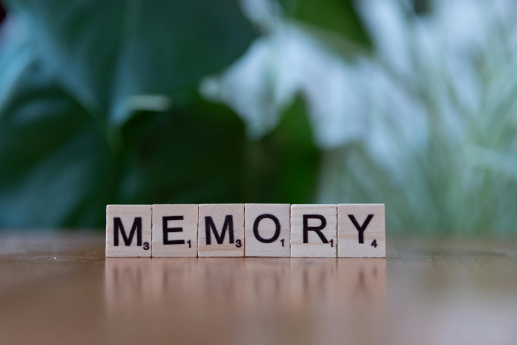 Why Forgetting Is So Important to Remembering