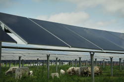 New 'In-Between' Materials for Solar Fuels and Batteries