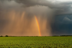 What Is a Rain Bomb?