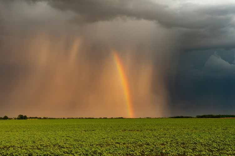 What Is a Rain Bomb?