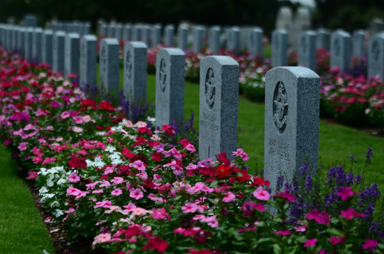 What Happens When Deaths Outnumber Births?