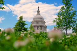 From DOJ to Ballot Box: The Rise of Lawfare Candidates