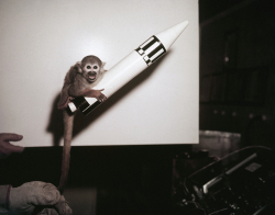 Animal Research Needs a New Communication Strategy