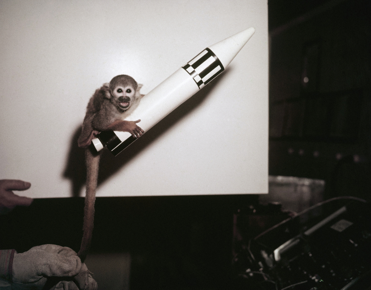 Animal Research Needs a New Communication Strategy