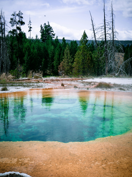Hot Springs at National Parks Teeming With Brain-Eating Amoebas