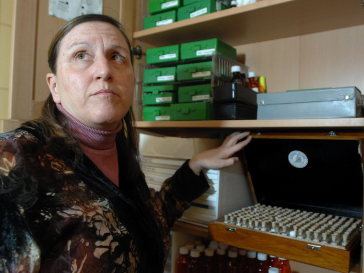 The Future of State-Funded Homeopathy in Europe