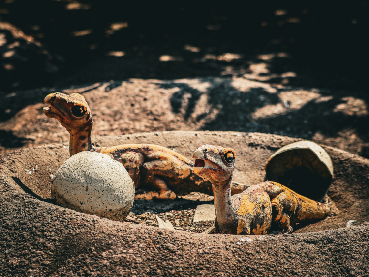 Dinosaur Teeth Reveal That They Were Doting Parents