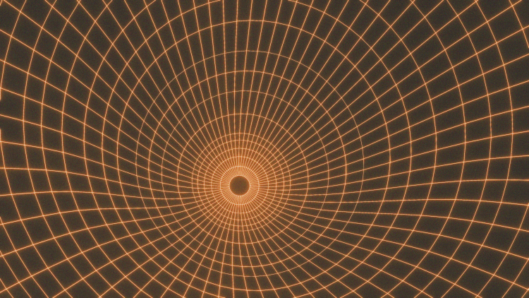 The Universe Evolves Like a Life Form