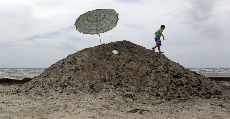 The Sinister Spread of France's Killer Seaweed