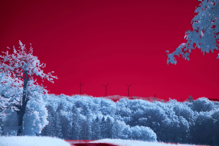 The Origins of the Nuclear Winter Theory