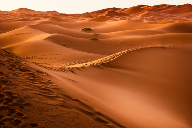 Hundreds of Huge Ancient Mass Graves Found in the Sahara