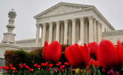 SCOTUS' Takedown of American Democracy Is Complete