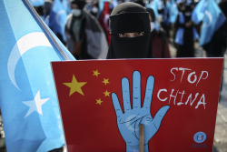 PoliticsWireDaily — China Solar Market Remade Itself Around U.S. Forced Labor Law