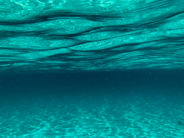 A Spot in the Pacific Has an Earthquake Every Five Years