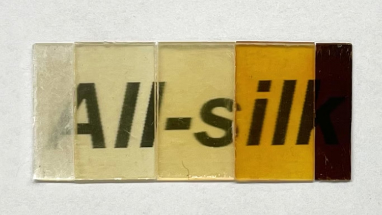 Researchers Transform Silk Into Solid Super-Materials