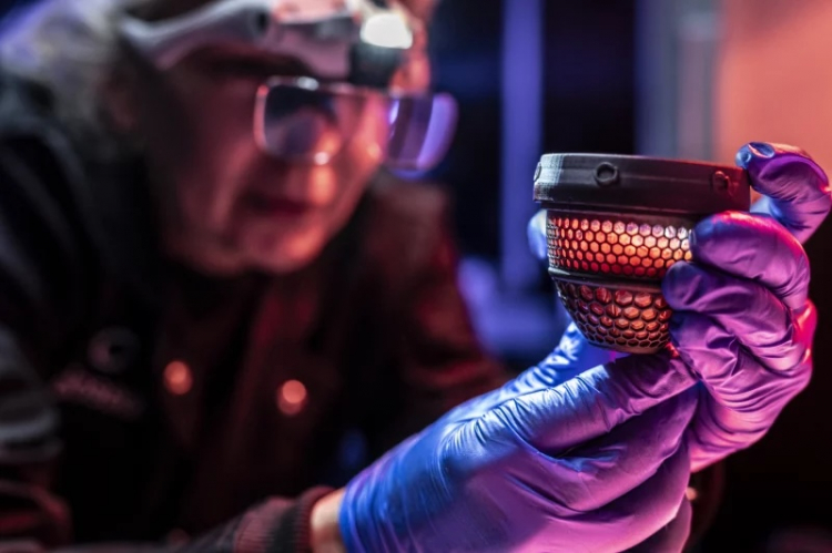 De-Extinction Company Hatches Chicks From Artificial Eggs