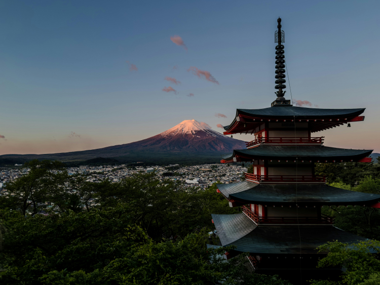 Japan Is Gripped by Mass Allergies. Blame a 1950s Project
